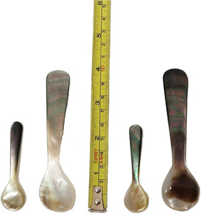 Ann Lee Design Kitchen Mini Tiny Spoon Multicoloured - 2 inch (2pcs)